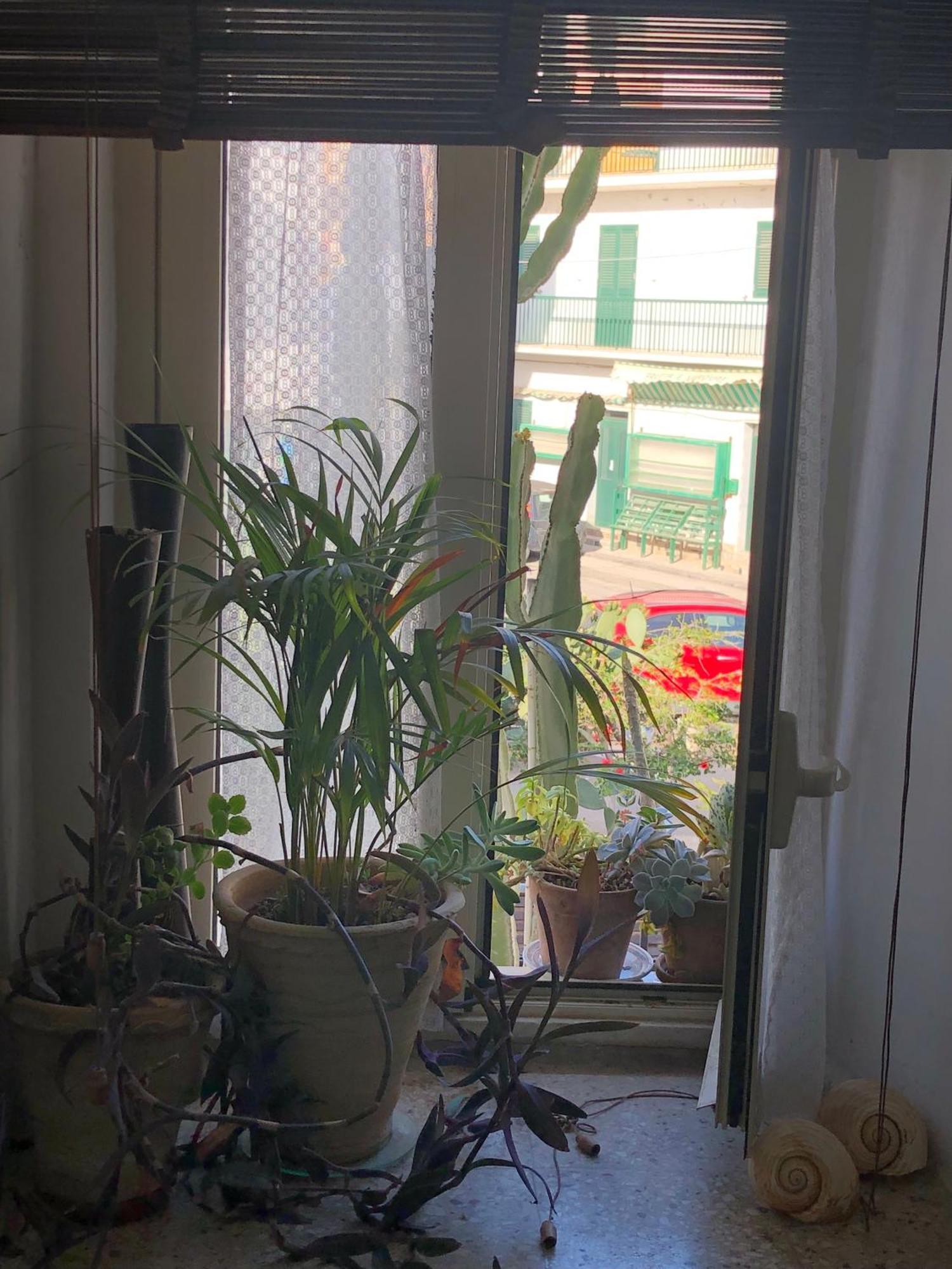 Le Muse Casa Vacanze Скольитти Номер фото